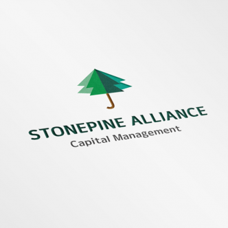STONEPINE ALLIANCE 금융, 투자 기업