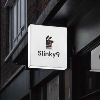 Slinky9