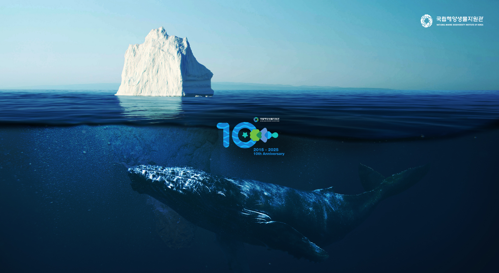 CI 디자인 기반 기업 브랜딩