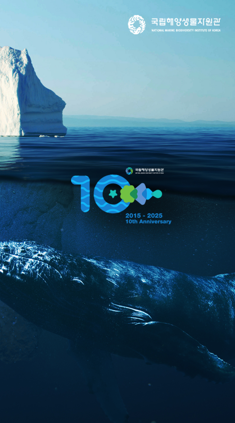 CI 디자인 기반 기업 브랜딩